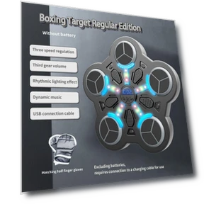 Bluetooth Boxing Target — Kids Fitness, iPlay