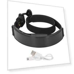 LED Dog Collar with Smart Screen — Collars, Zeblaze