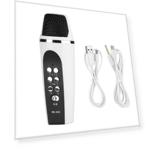 Mini 4-Mode Voice Changer Microphone — Spy Gadgets, OutsideWorld