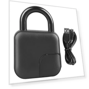 Smart Keyless Biometric Fingerprint Lock — Biometric Security, GoolRC