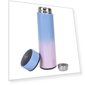 Smart Water Bottle with LED Display — Hydration Essentials, Fishine