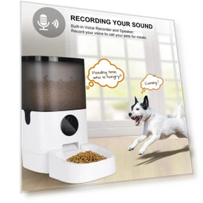 Automatic Pet Feeder — Feeders, Decor Life Global