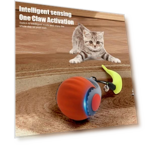 Interactive Cat Toy Ball — Cat Playthings, Boyhood