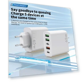 Multi-port Fast Charging Charger — Charging Solutions, Fast charging