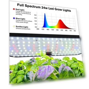 Smart Vegetable Seeders — Bulb Planting Tools, KITCHEN-MALL