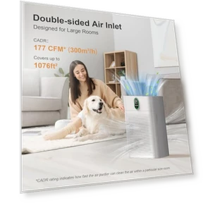Air Purifier for Large Rooms — HEPA Air Purifiers, EZBASICS