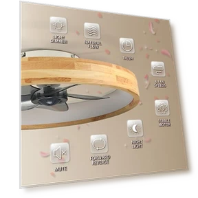 Ceiling Fan with Light — Ceiling Fan Lighting Solutions, WenineStar