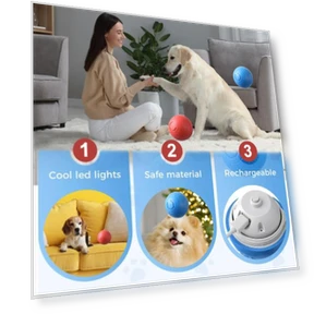 Interactive Pet Ball Toy — Interactive Animal Companions, DODO Beauty