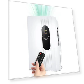 Air Dehumidifier and Purifier 2-in-1 — Air Moisture Control, Xing Hui