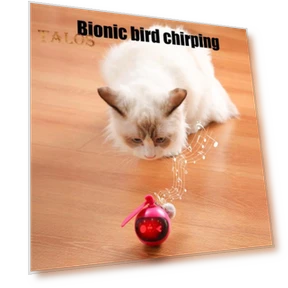 Automatic Moving Balls — Cat Playthings, Vogue Wardrobe