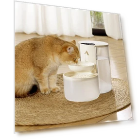 Automatic Pet Water Fountain — Fountains, Uomobo