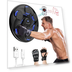 Bluetooth Music Boxing Wall Target — Fitness & Activity Monitors, Holland Ham