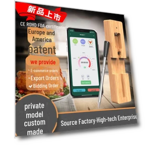 Bluetooth Waterproof Meat Thermometer — Instant-Read, WoW Home