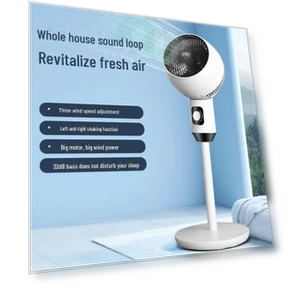 Dual-Purpose Silent Convection Fan — Ceiling Fans, ElectroCN