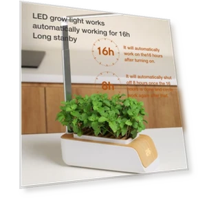 Hydroponic Growing System — Germination Kits, RUI RUI YU 6