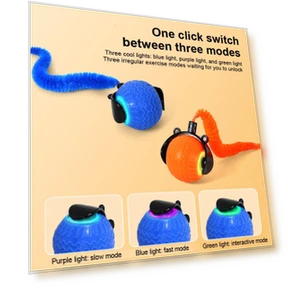 Interactive Cat Toys — Cat Playthings, Walked Quickly