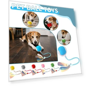 Interactive Pet Toy Ball — Interactive Animal Companions, Jiangnan E