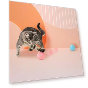 Automatic Cat Toy — Cat Playthings, I love My Pet