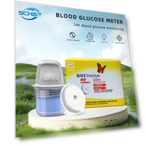 Continuous Glucose Monitoring System — Diabetes Monitoring Devices, Abbott