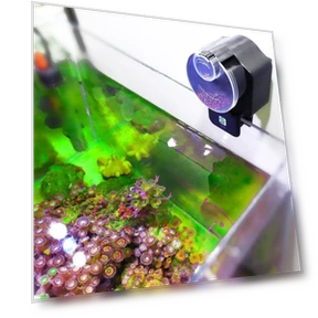 Smart Aquarium Fish Feeder — Feeders, Naituo