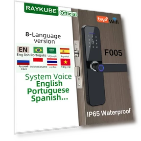 Smart Lock — Luggage Locks, RAYKUBE