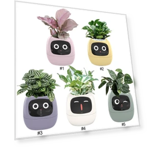 Smart Plant Pot — Controllers, Good Household Items