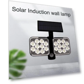 Solar Power Sensor Light — Garden Illumination, Blackcurrant