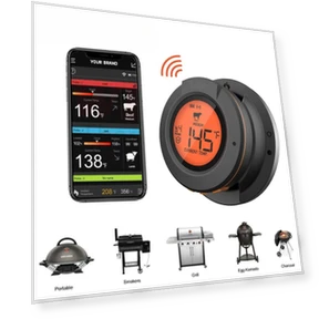 Wireless Meat Thermometer — Thermometers, Daily necessities-V