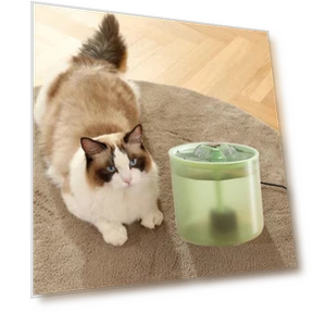 Electric Cat Water Fountain — Pet Hydration Solutions, Fujeenn