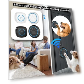 Wireless Doorbell with Smart LED Flashing Light — Doorbells, Aquariusg