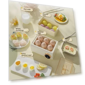 Automatic Multi-Function Egg Steamer — Egg Cookers, StrideBox