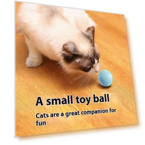 Automatic Rolling Ball Pet Toy — Interactive Animal Companions, Wotypea