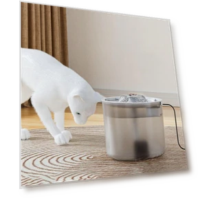 Automatic Silent Pet Water Dispenser — Feeding Supplies, Zhongqin