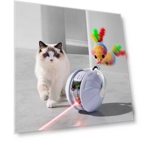 Interactive Smart Ball for Cats — Cat Playthings, Cozy Cottage-Relax