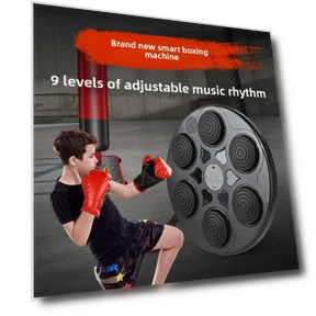 Smart Training Music Boxing Wall Target Trainer — Home Gyms, Binchi Outdoor Equipment