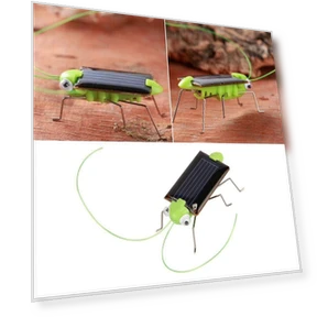 Solar Insect Robot — Solar Power, Ymzkdlfj209