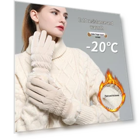 Winter Waterproof Fleece Touchscreen Gloves — Gloves & Mittens, Millioner
