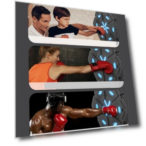 Bluetooth Smart Boxing Trainer — Boxing Training Gear, Sport2ZY