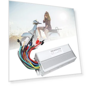 Electric Bicycle Accessory — Rectifiers, 3CZY