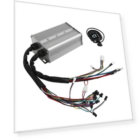 Electric Scooter Controller and Bike Conversion Kit — Electric Self-Balancing Scooters, Sport2ZY