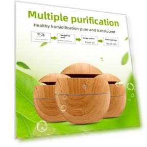 Humidifier with Diffuser — Air Moisturizers, Binchi Outdoor Equipment