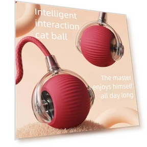 Interactive Cat Toy Ball — Balls, Pet Zooo