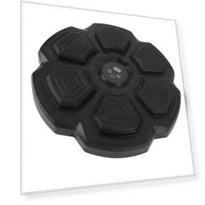 Smart Bluetooth Music Boxing Trainer — Boxing Training Gear, ZY-Sport-N