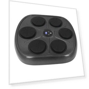 Smart Musical Boxing Target for Kids — Boxing Training Gear, ZuiyouSports