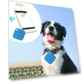 Mini Pet Locator with Loss Protection — Item Locators, JIOUjitang