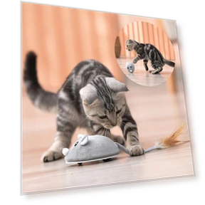 Smart Electric Mouse Toy — Cat Playthings, AIMEI Pet Tools