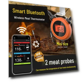 Smart BBQ Thermometer with Dual Probes — Grill Thermometers, Cheap Treasures