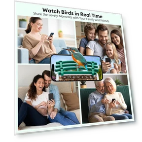 Smart Bird Feeder with Camera — Outdoor & Wildlife Cameras