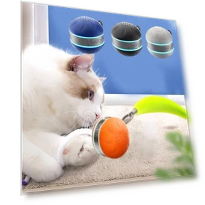 USB Rechargeable Cat Interactive Ball Rotating Smart Kitten Chewing Toy — Cat Playthings, Zhonghefu