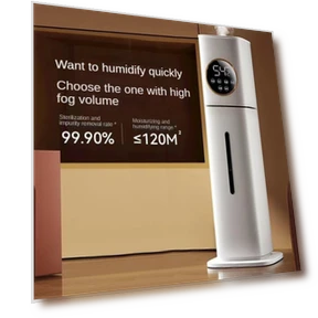 Air Humidifier with Strong Mist — Air Moisturizers, Crown Global